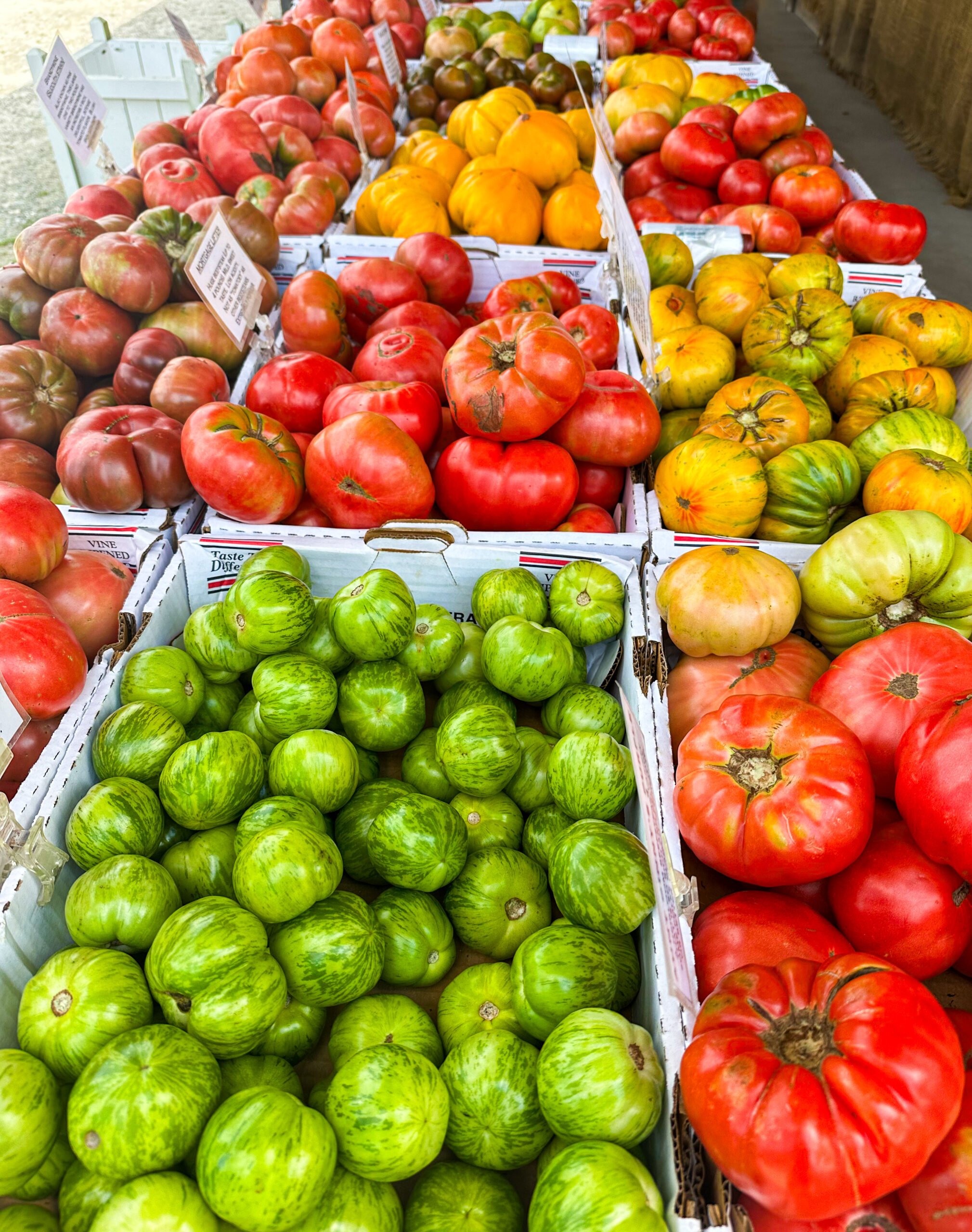 Assorted heirloom tomatoes in big bins
