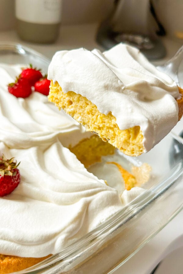 Close up of tres leches cake slice