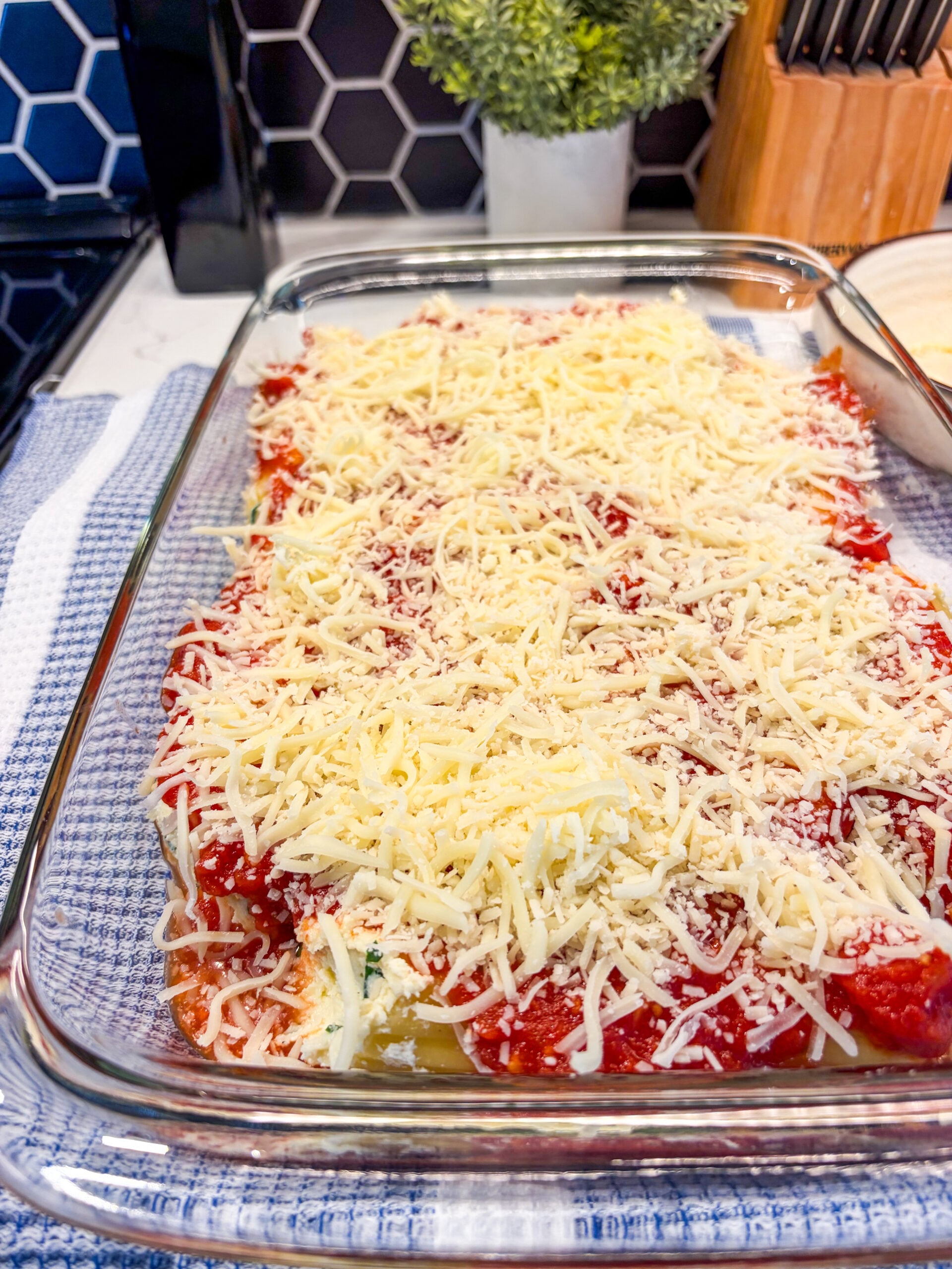 Assembled manicotti in baking dish right before baking