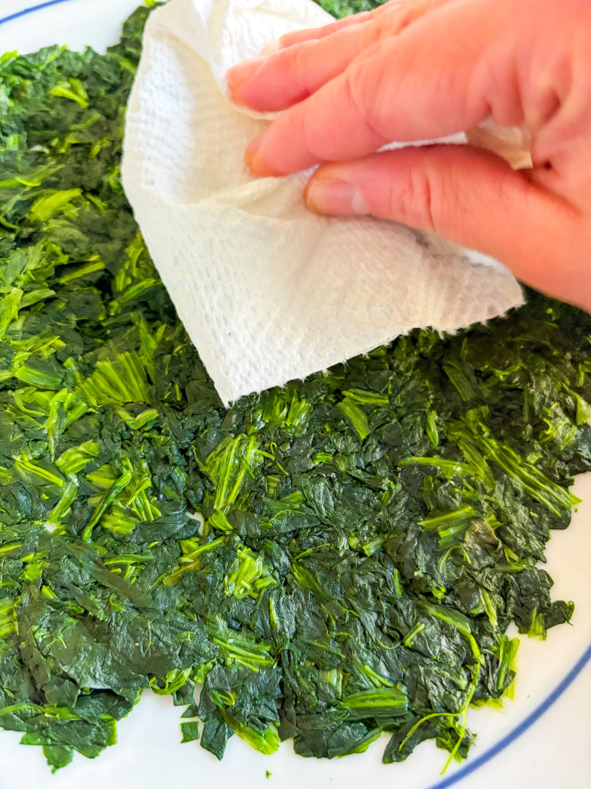 Patting spinach dry with paper towels