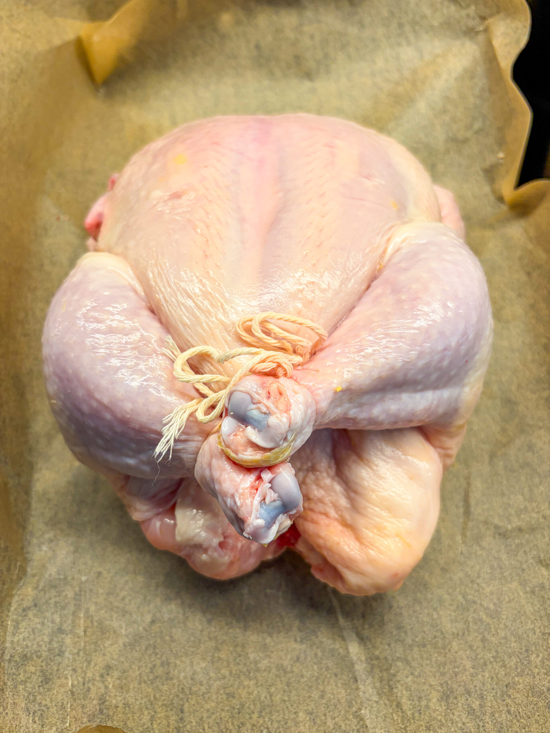 Chicken legs tied with twine